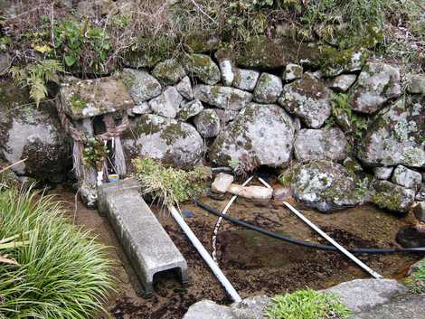 山田湧水の画像