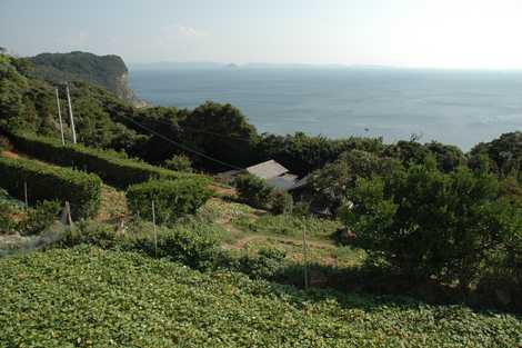 黒島の集落（黒島天主堂）の画像