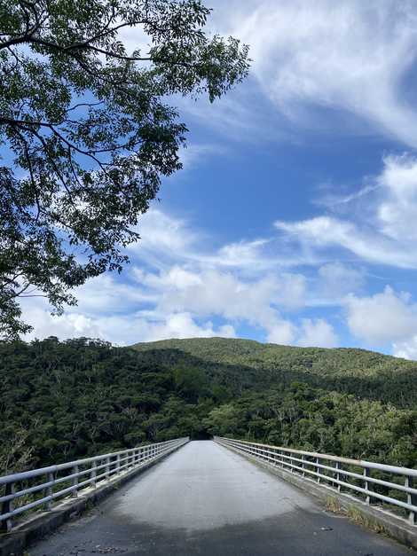 沖縄島北部の画像