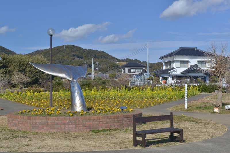 花の広場公園「花夢花夢」の画像