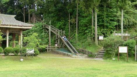 千葉県立大多喜県民の森 外房 レジャー公園 自然公園 の施設情報 いつもnavi