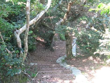 松山遊歩道の画像