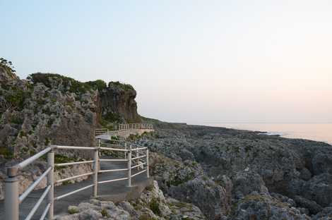 荒木・中里遊歩道の画像