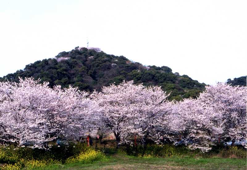 日の隈公園の画像