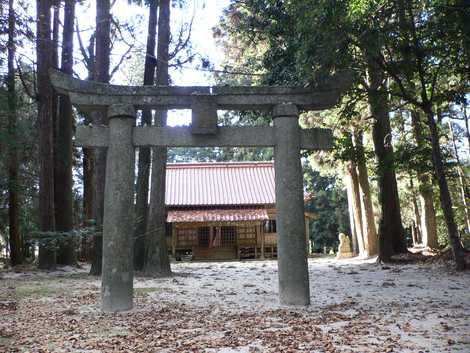 杉神社の画像