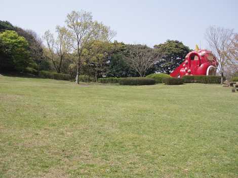 鬼ノ鼻山憩いの森の画像