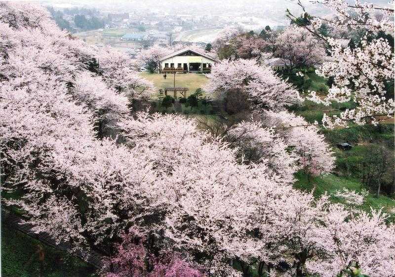 城ヶ山公園の画像