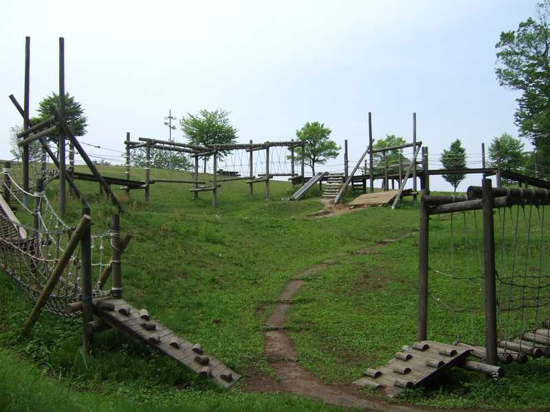 割山森林公園「天湖森」の画像