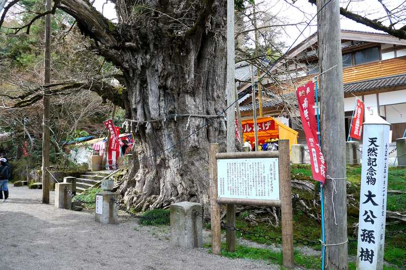 ごんごん祭の画像