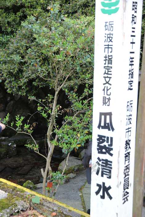 瓜裂の清水 瓜裂の清水の画像