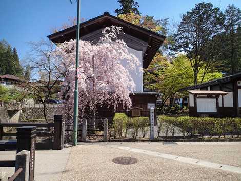 川上別邸史跡公園の画像