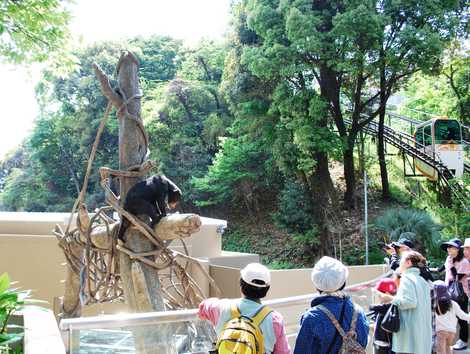 福岡市動物園 福岡市動物園の画像