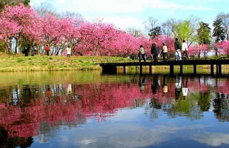 古河総合公園 古河 レジャー公園 自然公園 の施設情報 いつもnavi