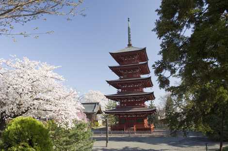 最勝院五重塔の画像