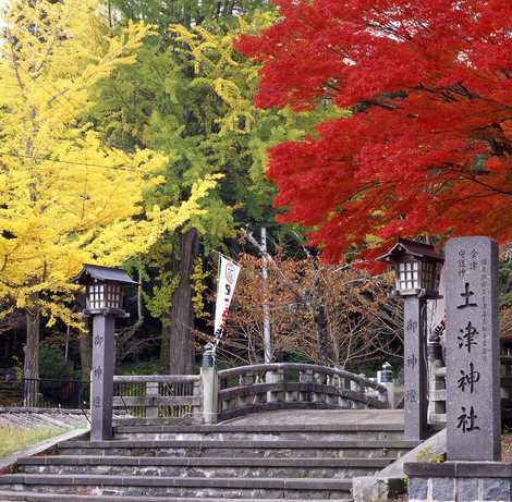 会津藩主松平家墓所の画像