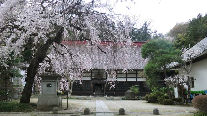 大隣寺の画像