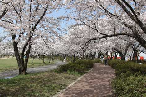 開成山公園の画像