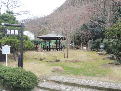 芭蕉園の画像