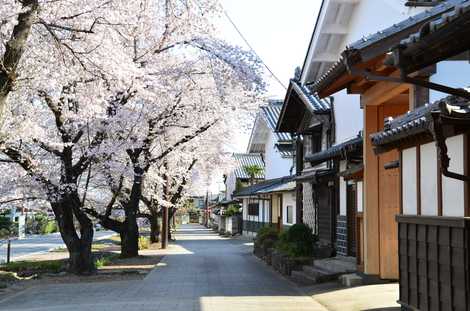 城下町小幡の画像