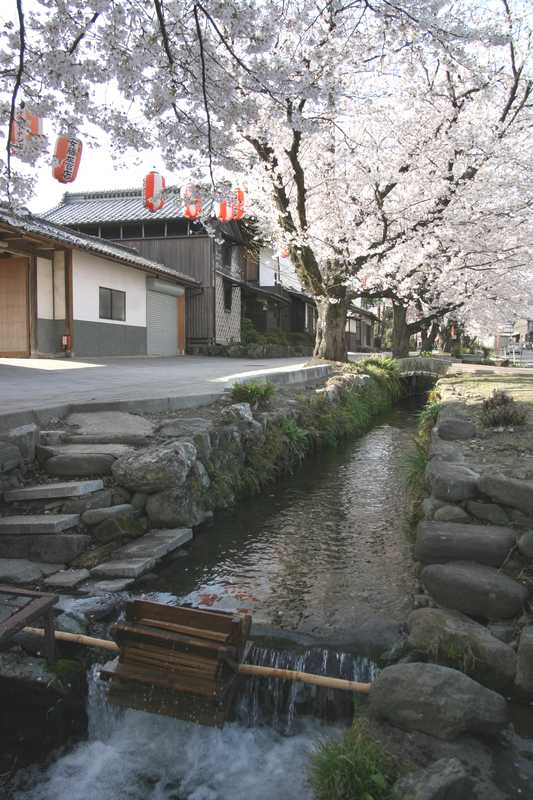 雄川堰の画像