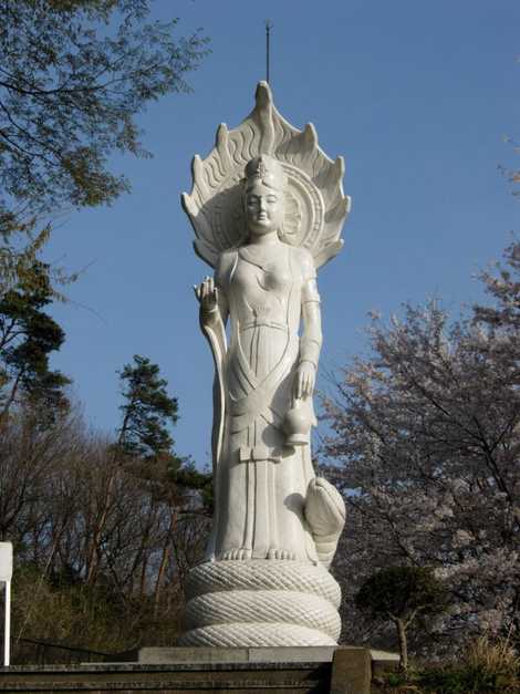 ジャパンスネークセンター ジャパンスネークセンターの画像