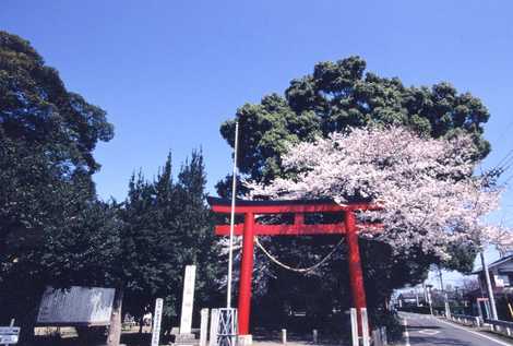 生品神社の画像