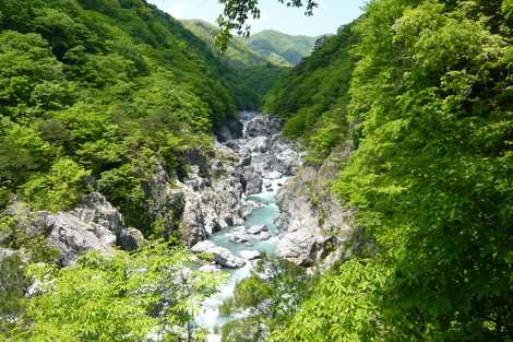 龍王峡自然研究路の画像