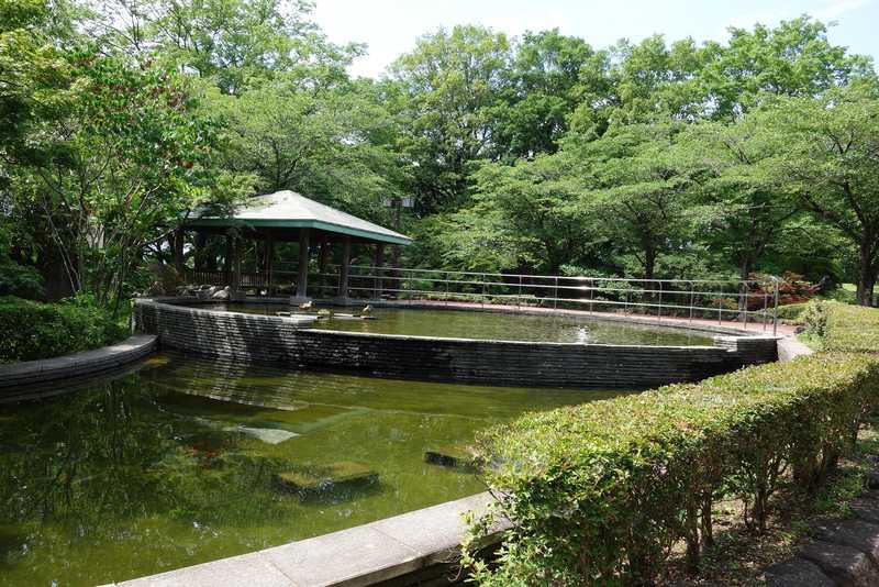 城山公園 小山 佐野 足利 近隣公園 の施設情報 いつもnavi