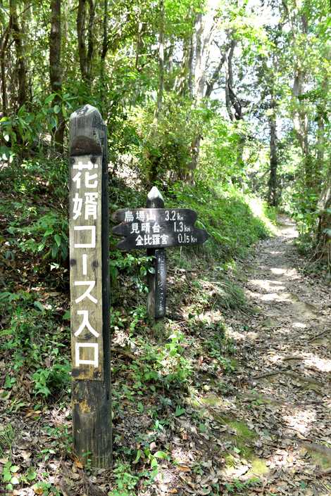 花嫁街道の画像