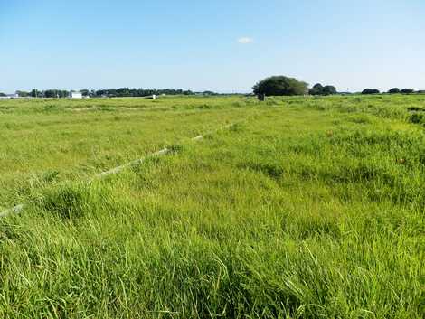 天然記念物成東・東金食中植物群落地の画像