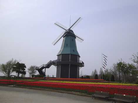 オランダ型風車（霞ヶ浦総合公園）の画像