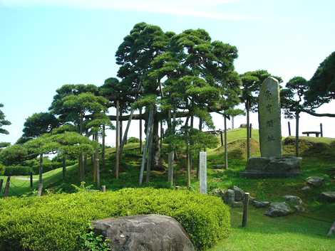 湊公園の画像