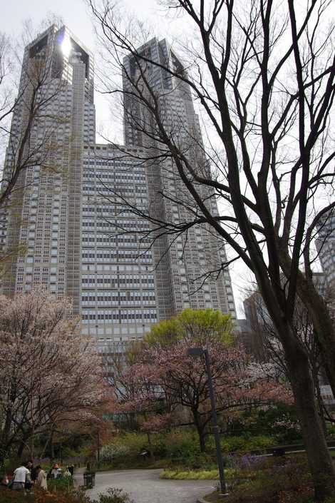 新宿中央公園の画像