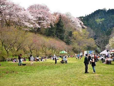 都立小峰公園の画像