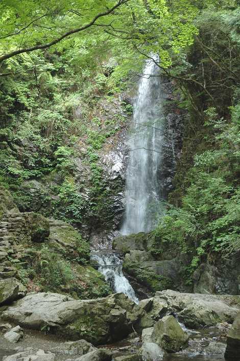 払沢の滝の画像