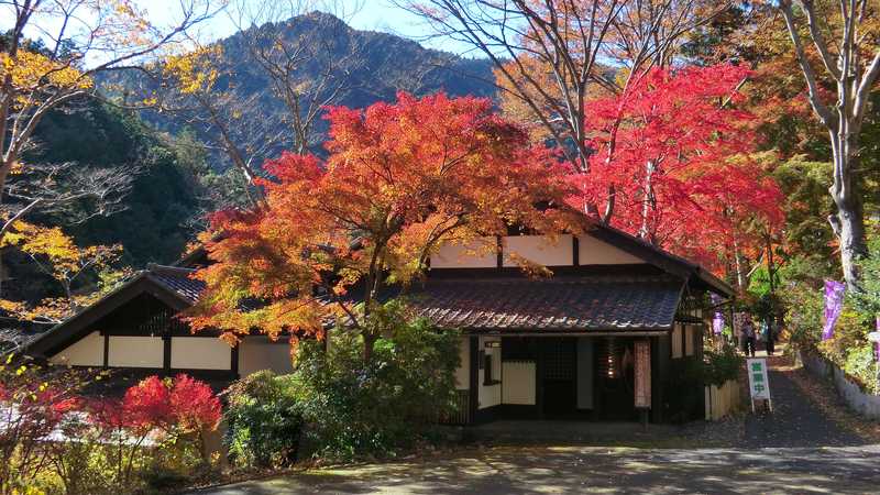 奥多摩せせらぎの里美術館の画像