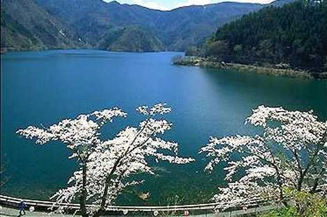 奥多摩湖の画像