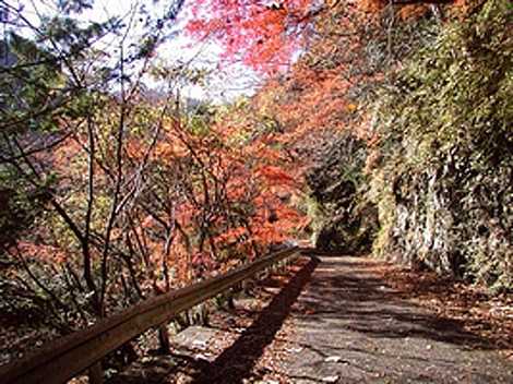 奥多摩むかし道（ハイキング）の画像