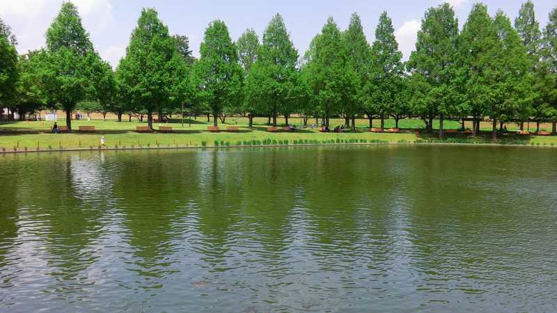 川越水上公園の画像