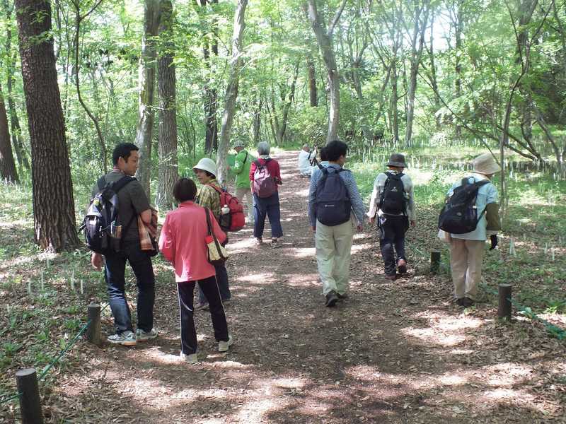 国営武蔵丘陵森林公園の画像