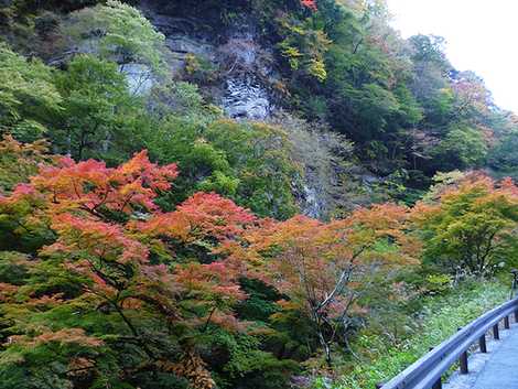 中津峡の画像