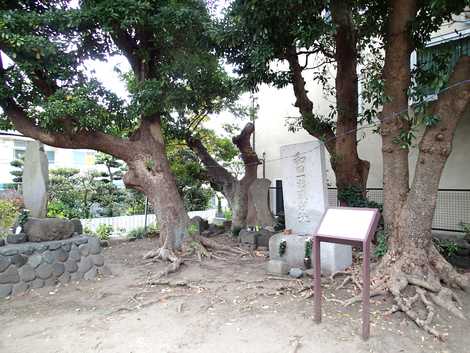 和田塚 和田塚の画像