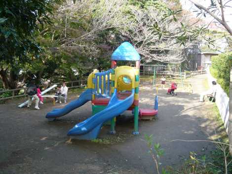 披露山公園 披露山公園の画像
