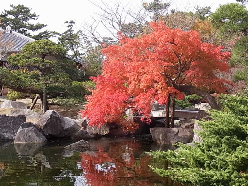 葉山しおさい公園の画像