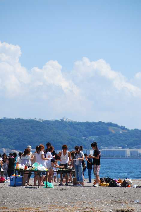 無人島・猿島の画像