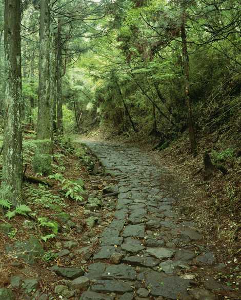 旧東海道石畳の画像