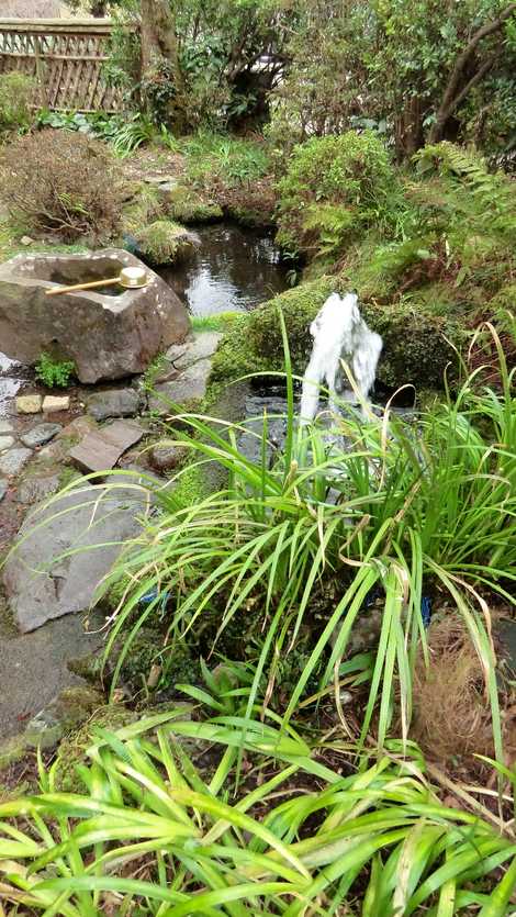 姫の水の画像