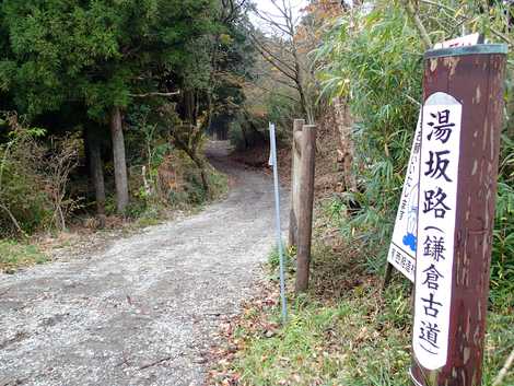 湯坂路の画像