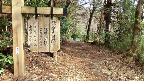 須雲川自然探勝歩道の画像