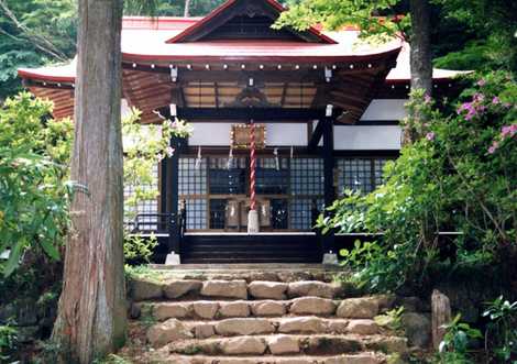 天照山ハイキングコースの画像